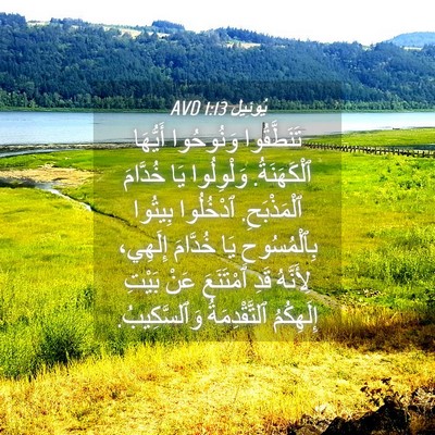 Picture 04 - يُوئِيل 1:13 AVD - تَنَطَّقُوا وَنُوحُوا - Bible Verse Picture