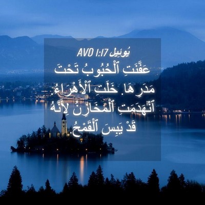 Picture 04 - يُوئِيل 1:17 AVD - عَفَّنَتِ ٱلْحُبُوبُ - Bible Verse Picture