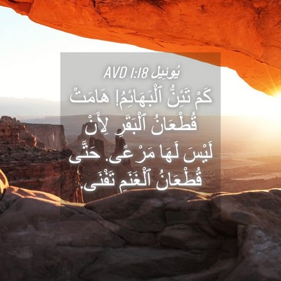 Picture 04 - يُوئِيل 1:18 AVD - كَمْ تَئِنُّ ٱلْبَهَائِمُ! - Bible Verse Picture