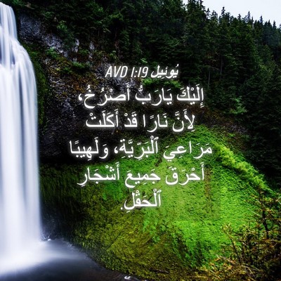 Picture 04 - يُوئِيل 1:19 AVD - إِلَيْكَ يَارَبُّ - Bible Verse Picture