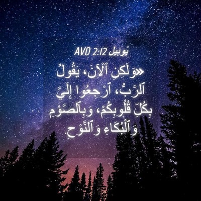 Picture 04 - يُوئِيل 2:12 AVD - «وَلَكِنِ ٱلْآنَ، يَقُولُ - Bible Verse Picture