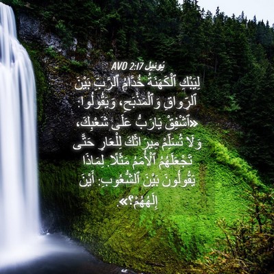 Picture 04 - يُوئِيل 2:17 AVD - لِيَبْكِ ٱلْكَهَنَةُ - Bible Verse Picture