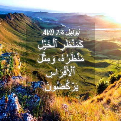 Picture 04 - يُوئِيل 2:4 AVD - كَمَنْظَرِ ٱلْخَيْلِ - Bible Verse Picture