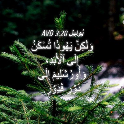 Picture 04 - يُوئِيل 3:20 AVD - وَلَكِنَّ يَهُوذَا - Bible Verse Picture