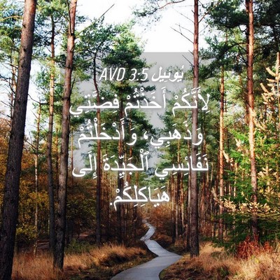 Picture 04 - يُوئِيل 3:5 AVD - لِأَنَّكُمْ أَخَذْتُمْ - Bible Verse Picture