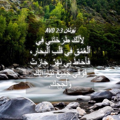 Picture 04 - يُونَان 2:3 AVD - لِأَنَّكَ طَرَحْتَنِي فِي - Bible Verse Picture