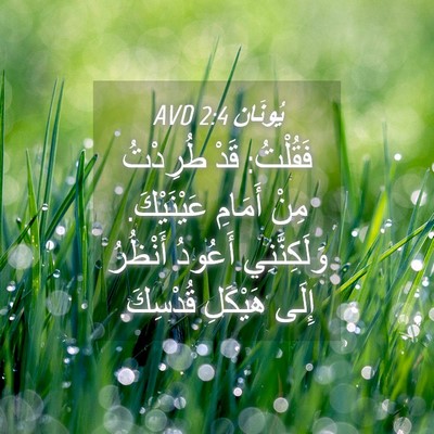 Picture 04 - يُونَان 2:4 AVD - فَقُلْتُ: قَدْ طُرِدْتُ - Bible Verse Picture