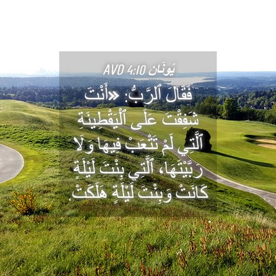 Picture 04 - يُونَان 4:10 AVD - فَقَالَ ٱلرَّبُّ: «أَنْتَ - Bible Verse Picture