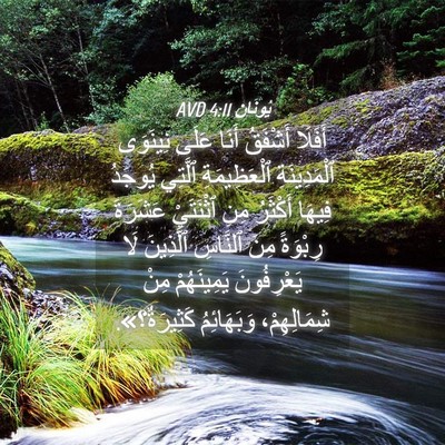 Picture 04 - يُونَان 4:11 AVD - أَفَلَا أَشْفَقُ أَنَا - Bible Verse Picture