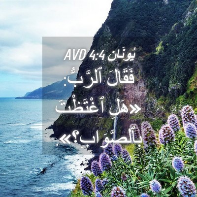 Picture 04 - يُونَان 4:4 AVD - فَقَالَ ٱلرَّبُّ: «هَلِ - Bible Verse Picture