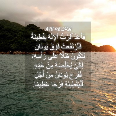 Picture 04 - يُونَان 4:6 AVD - فَأَعَدَّ ٱلرَّبُّ - Bible Verse Picture