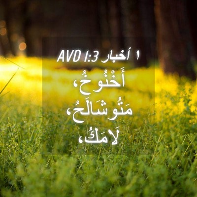 Picture 04 - ١ أخبار 1:3 AVD - أَخْنُوخُ، مَتُوشَالَحُ، - Bible Verse Picture