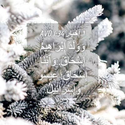Picture 04 - ١ أخبار 1:34 AVD - وَوَلَدَ إِبْرَاهِيمُ - Bible Verse Picture