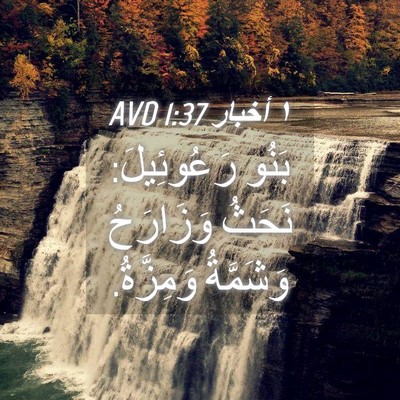 Picture 04 - ١ أخبار 1:37 AVD - بَنُو رَعُوئِيلَ: نَحَثُ - Bible Verse Picture