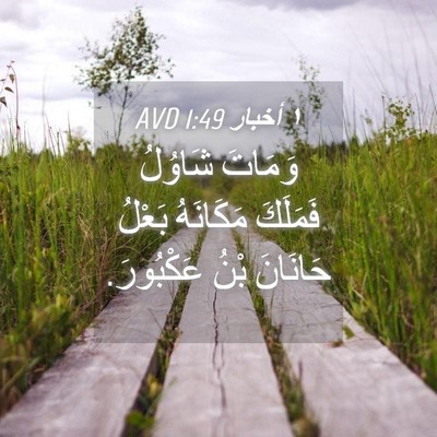 Picture 04 - ١ أخبار 1:49 AVD - وَمَاتَ شَاوُلُ فَمَلَكَ - Bible Verse Picture