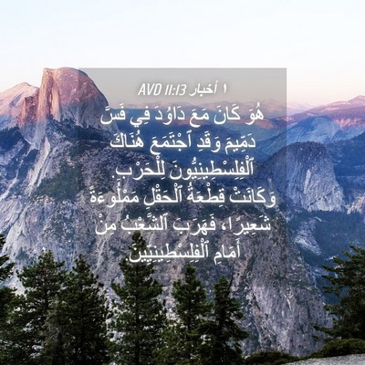 Picture 04 - ١ أخبار 11:13 AVD - هُوَ كَانَ مَعَ دَاوُدَ - Bible Verse Picture