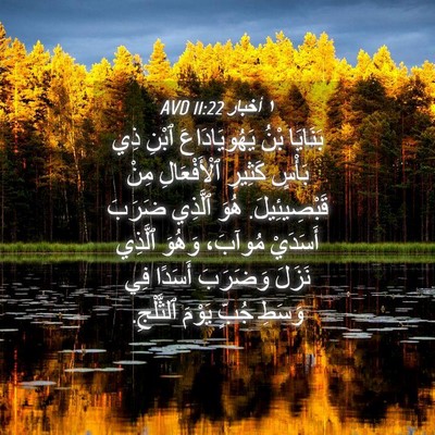 Picture 04 - ١ أخبار 11:22 AVD - بَنَايَا بْنُ - Bible Verse Picture