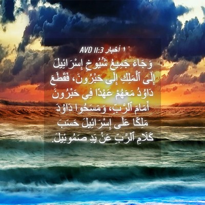 Picture 04 - ١ أخبار 11:3 AVD - وَجَاءَ جَمِيعُ شُيُوخِ - Bible Verse Picture
