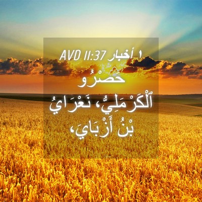 Picture 04 - ١ أخبار 11:37 AVD - حَصْرُو ٱلْكَرْمَلِيُّ، - Bible Verse Picture