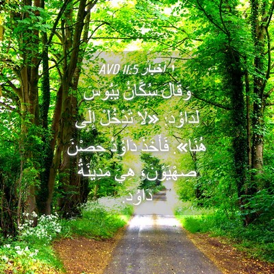 Picture 04 - ١ أخبار 11:5 AVD - وَقَالَ سُكَّانُ يَبُوسَ - Bible Verse Picture