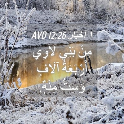 Picture 04 - ١ أخبار 12:26 AVD - مِنْ بَنِي لَاوِي - Bible Verse Picture