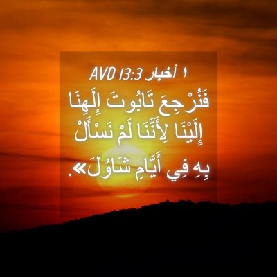 Picture 04 - ١ أخبار 13:3 AVD - فَنُرْجِعَ تَابُوتَ - Bible Verse Picture