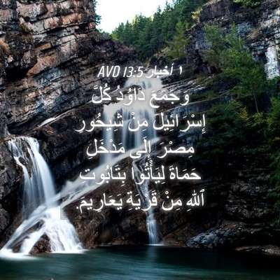 Picture 04 - ١ أخبار 13:5 AVD - وَجَمَعَ دَاوُدُ كُلَّ - Bible Verse Picture