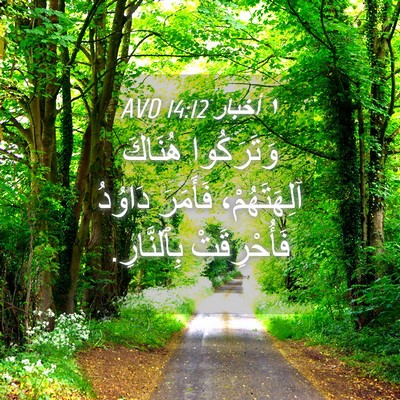 Picture 04 - ١ أخبار 14:12 AVD - وَتَرَكُوا هُنَاكَ - Bible Verse Picture