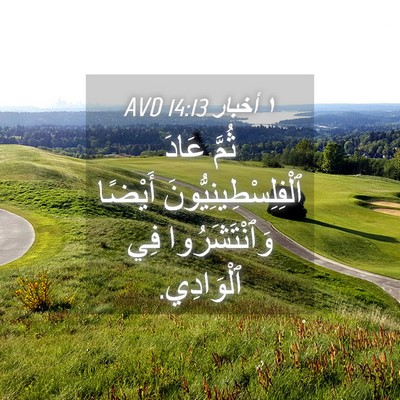 Picture 04 - ١ أخبار 14:13 AVD - ثُمَّ عَادَ - Bible Verse Picture