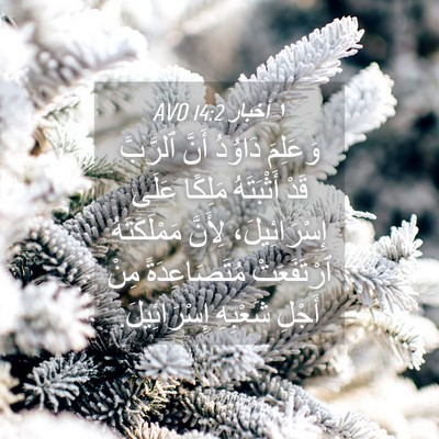 Picture 04 - ١ أخبار 14:2 AVD - وَعَلِمَ دَاوُدُ أَنَّ - Bible Verse Picture