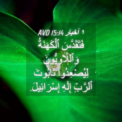 Picture 04 - ١ أخبار 15:14 AVD - فَتَقَدَّسَ ٱلْكَهَنَةُ - Bible Verse Picture