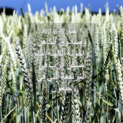 Picture 04 - ١ أخبار 16:39 AVD - وَصَادُوقَ ٱلْكَاهِنَ - Bible Verse Picture
