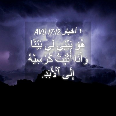 Picture 04 - ١ أخبار 17:12 AVD - هُوَ يَبْنِي لِي بَيْتًا - Bible Verse Picture
