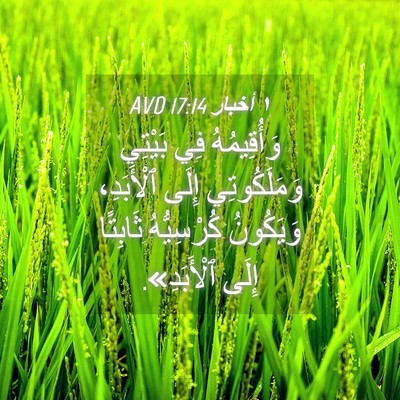 Picture 04 - ١ أخبار 17:14 AVD - وَأُقِيمُهُ فِي بَيْتِي - Bible Verse Picture