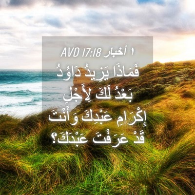 Picture 04 - ١ أخبار 17:18 AVD - فَمَاذَا يَزِيدُ دَاوُدُ - Bible Verse Picture