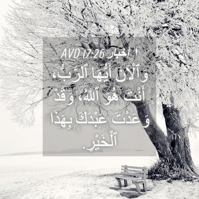 Picture 04 - ١ أخبار 17:26 AVD - وَٱلْآنَ أَيُّهَا - Bible Verse Picture