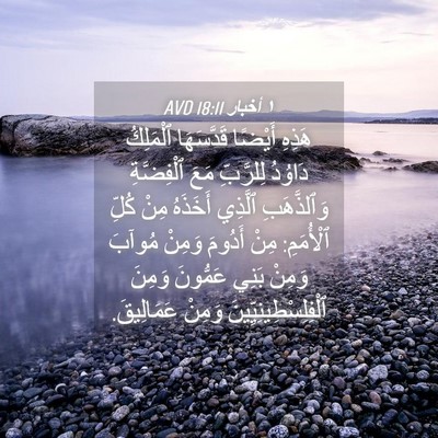 Picture 04 - ١ أخبار 18:11 AVD - هَذِهِ أَيْضًا قَدَّسَهَا - Bible Verse Picture