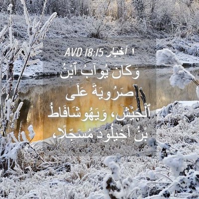 Picture 04 - ١ أخبار 18:15 AVD - وَكَانَ يُوآبُ ٱبْنُ - Bible Verse Picture