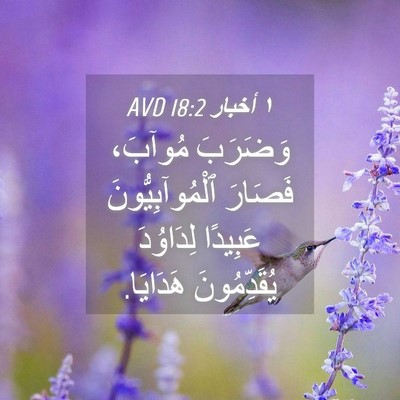 Picture 04 - ١ أخبار 18:2 AVD - وَضَرَبَ مُوآبَ، فَصَارَ - Bible Verse Picture