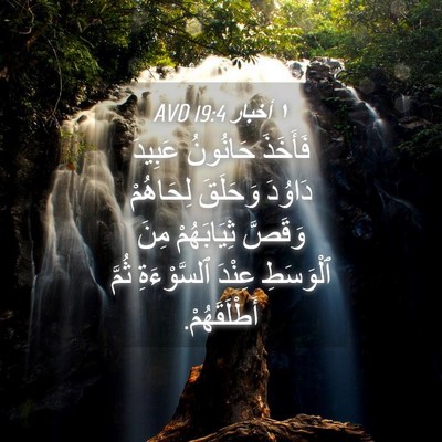 Picture 04 - ١ أخبار 19:4 AVD - فَأَخَذَ حَانُونُ عَبِيدَ - Bible Verse Picture