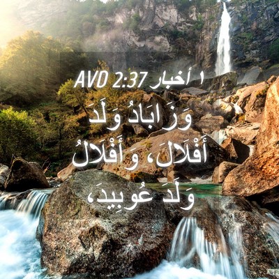 Picture 04 - ١ أخبار 2:37 AVD - وَزَابَادُ وَلَدَ - Bible Verse Picture