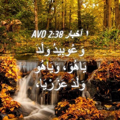 Picture 04 - ١ أخبار 2:38 AVD - وَعُوبِيدُ وَلَدَ - Bible Verse Picture
