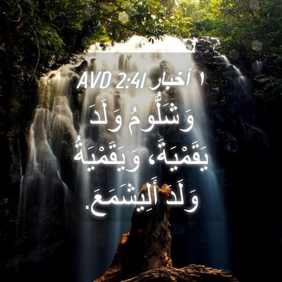 Picture 04 - ١ أخبار 2:41 AVD - وَشَلُّومُ وَلَدَ - Bible Verse Picture