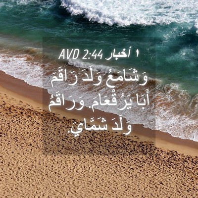 Picture 04 - ١ أخبار 2:44 AVD - وَشَامَعُ وَلَدَ رَاقَمَ - Bible Verse Picture
