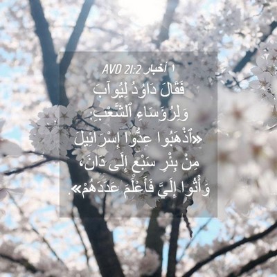 Picture 04 - ١ أخبار 21:2 AVD - فَقَالَ دَاوُدُ لِيُوآبَ - Bible Verse Picture