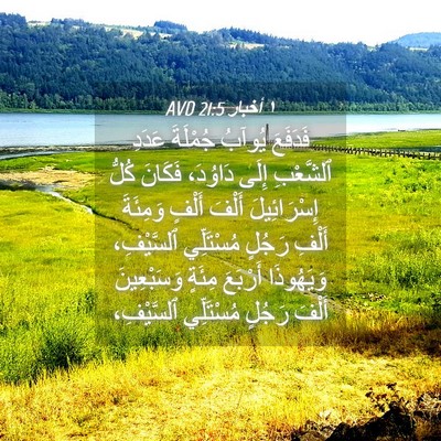 Picture 04 - ١ أخبار 21:5 AVD - فَدَفَعَ يُوآبُ جُمْلَةَ - Bible Verse Picture