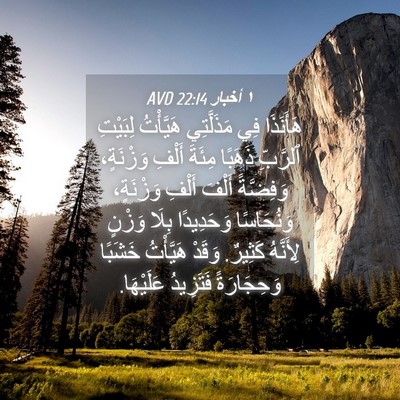 Picture 04 - ١ أخبار 22:14 AVD - هَأَنَذَا فِي مَذَلَّتِي - Bible Verse Picture