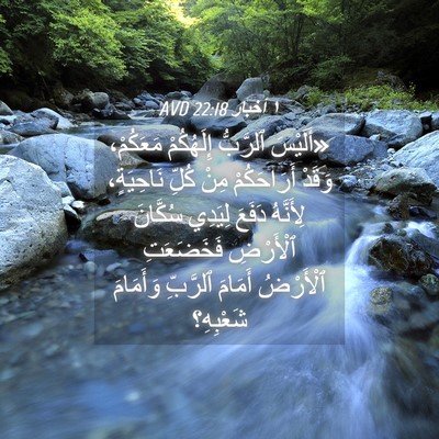 Picture 04 - ١ أخبار 22:18 AVD - «أَلَيْسَ ٱلرَّبُّ - Bible Verse Picture