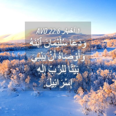 Picture 04 - ١ أخبار 22:6 AVD - وَدَعَا سُلَيْمَانَ - Bible Verse Picture
