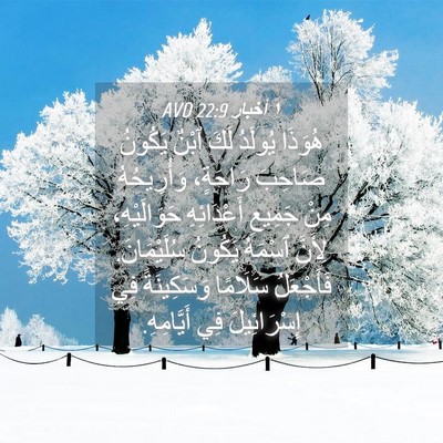 Picture 04 - ١ أخبار 22:9 AVD - هُوَذَا يُولَدُ لَكَ ٱبْنٌ - Bible Verse Picture